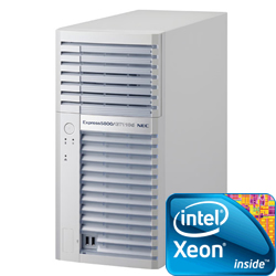 プライベートクラウド本格サーバー VMware ESXi 5.0 Intel Xeon E3-1230 ECCメモリ16GB HDD 500GBx2 NEC Express5800 GT110d (ESXi サポートあり)