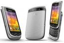 RIM BlackBerry Torch 9810 シルバー バンド1256 RDM71UW キャリアロゴ有無不明 SIMフリー (並行輸入品の日本国内発送)