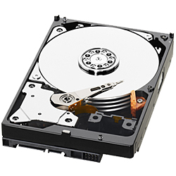 WESTERN DIGITAL HDD 500GB 3.5インチ SATA600 5400RPM キャッシュ64MB (WD5000AZRX)