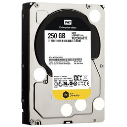 Western Digital WD RE WD2503ABYZ ニアラインHDD 250GB 7200rpm 64MB 非AFT