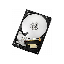 HGST HDD 500GB 3.5-inch SATA300 7200RPM Cache16GB (HDS721050CLA362)